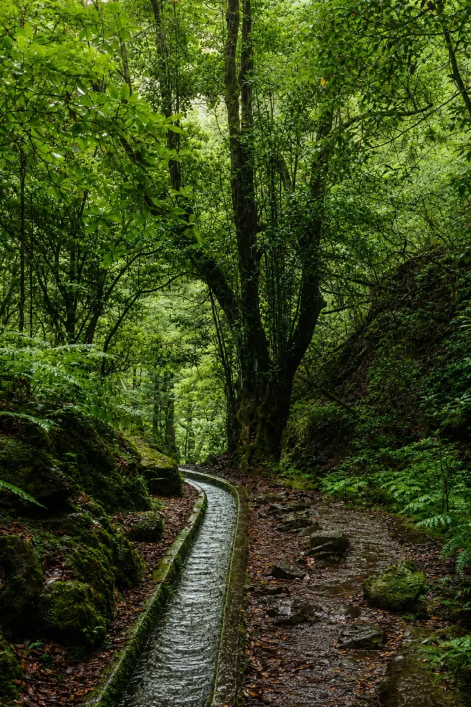 Les passages le long de la levada