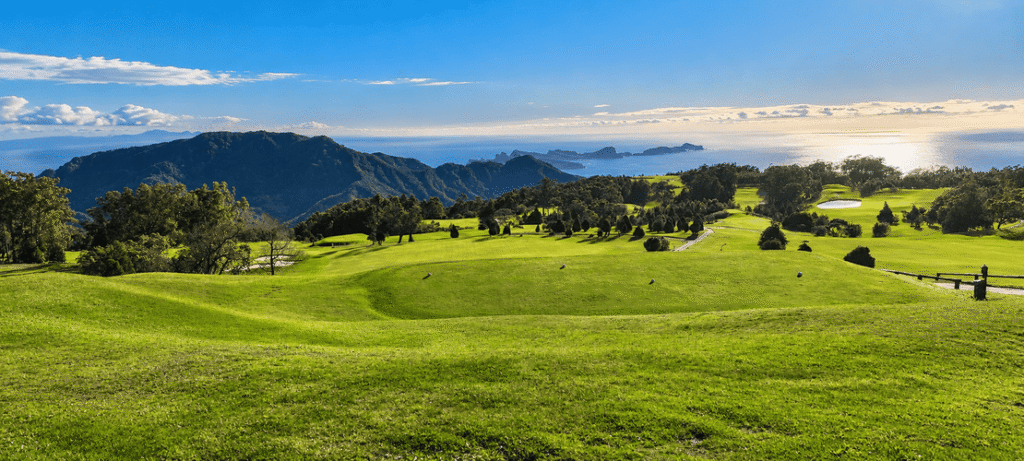 pack golf